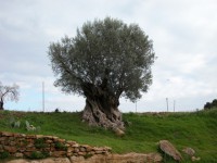 /album/galleria-fotografica/a894-03-57-50-9820-jpg/